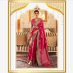 saree (42)
